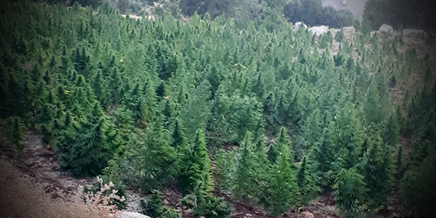 Terör örgütü PKK ile bağlarının ortaya çıkarılması amaçlanmıştı! 520 bin adet ele geçirildi