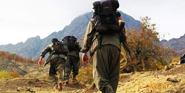 Terör örgütü PKK yalvarmaya başladı