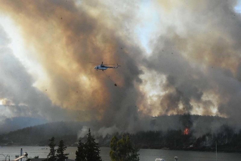Terör örgütü PKK'dan ''ormanı yak'' talimatı almıştı... Hainin cezası belli oldu