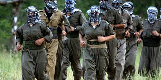 Terör örgütü PKK'ya 'üst düzey' darbe! Bir bir indiriliyorlar