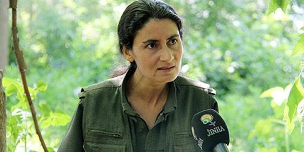 Terörcü akademisyenlerin arkasından bakın kim çıktı