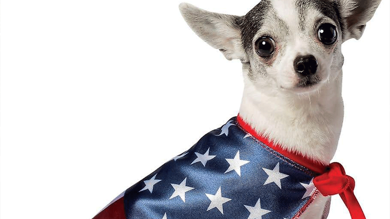 Teröristlere silah vermeye devam! Senato değil İsrail’in iti