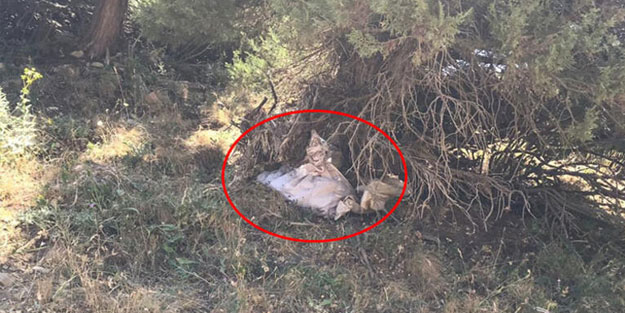 Teröristlerin ağaçlar arasına gizlediği çuvallarda silah ve mühimmat bulundu