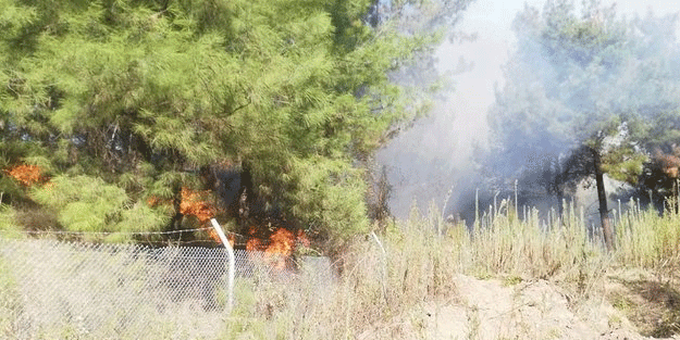 Teröristlerin etkisiz hale getirildiği İskenderun'da orman yangını