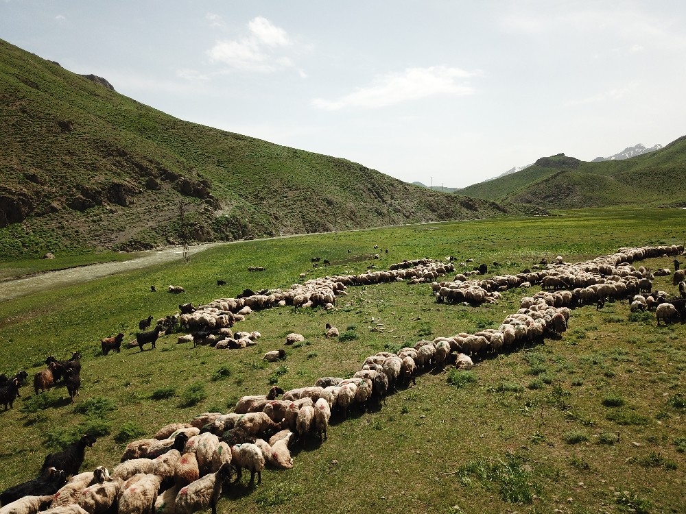 Terörün kökü kazındı yaylalar göçerlerle dolup taştı 
