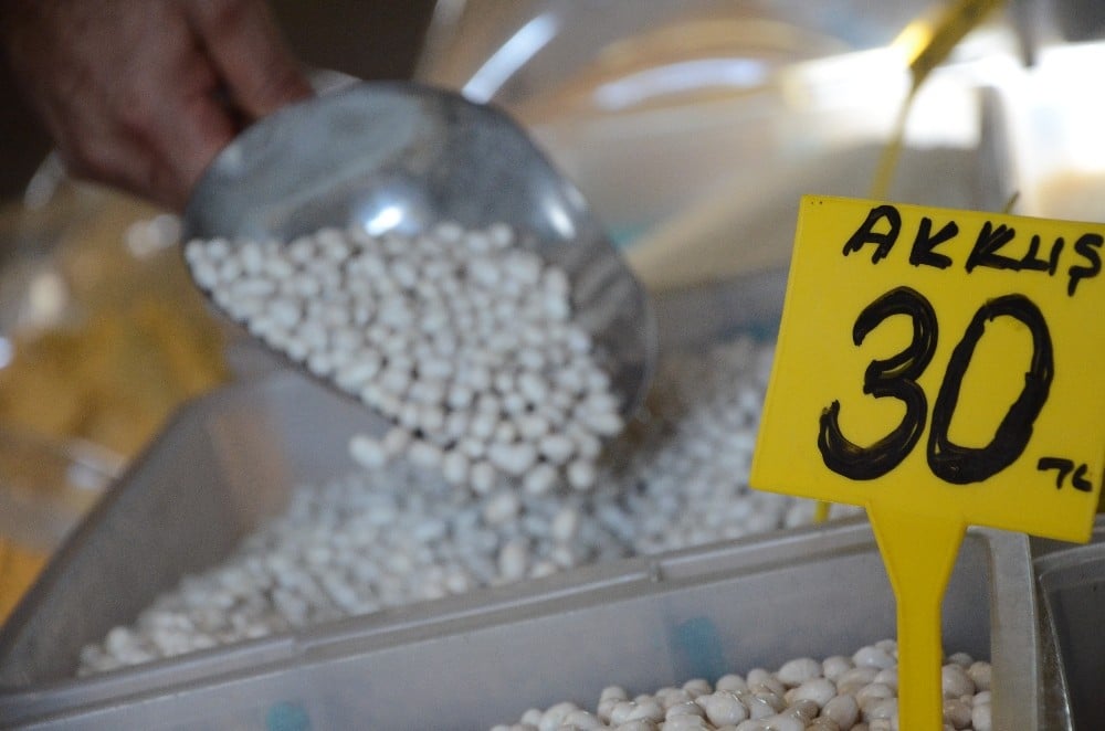 Tescilli Akkuş fasulyesinde rekolte kaybı bekleniyor 