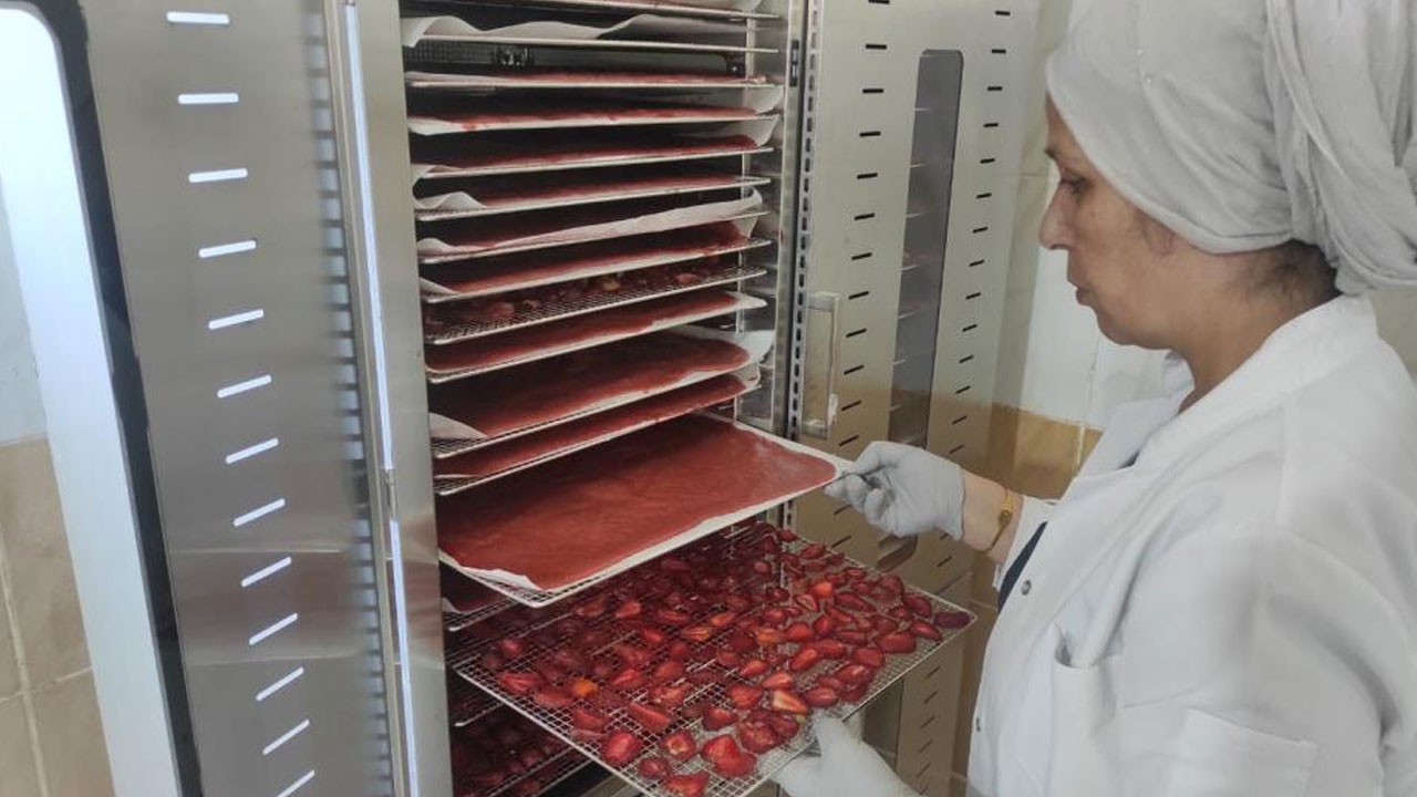 Tescilli lezzet organik üretimle hayat buluyor