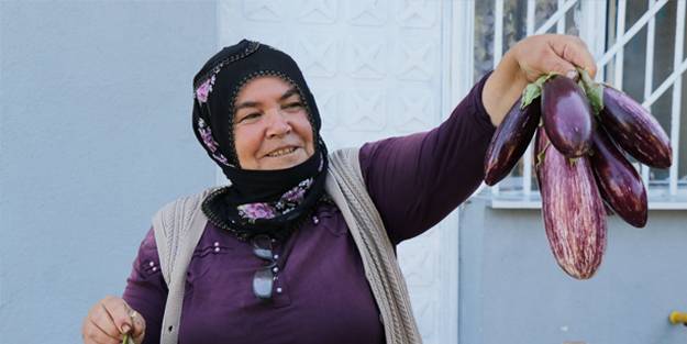 Tescilli patlıcan kadınların kazanç kaynağı