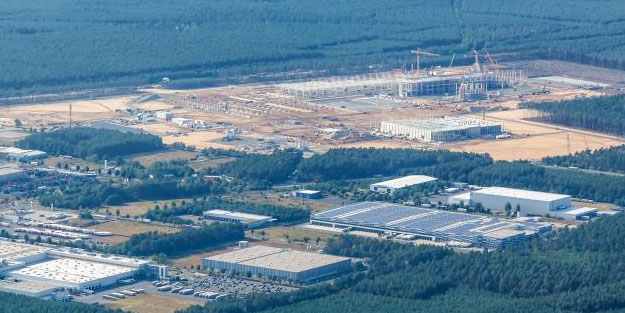 Tesla ağaç katliamı yaptı! Fabrika için 500.000 ağaç kesildi