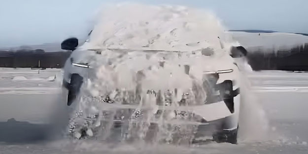 Tesla'nın rakibi köpeklerden ilham aldı