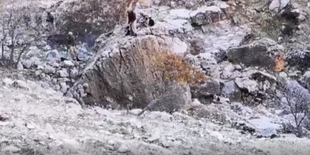 'Teslim ol' çağrısına ateşle karşılık verdiler! O teröristler böyle öldürüldü