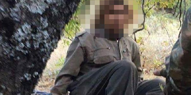 Teslim olan PKK'lı terörist: Gözümün önünde infaz ettiler!