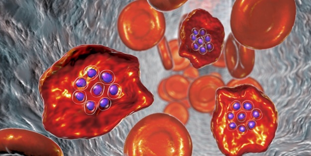 Tespit edildi: En az 6 ay...