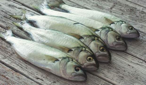 Tezgaha indi! Kilosu 70 liradan satılıyor