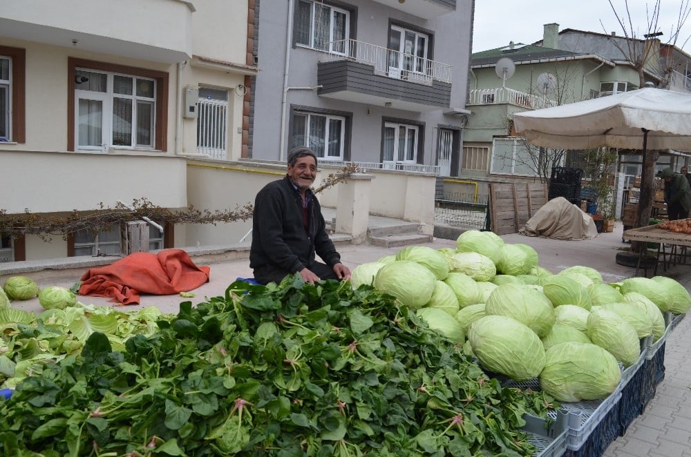 Tezgahlar 3 metre aralıkla kuruldu 