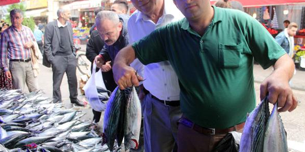 Tezgahlar palamutla şenlendi