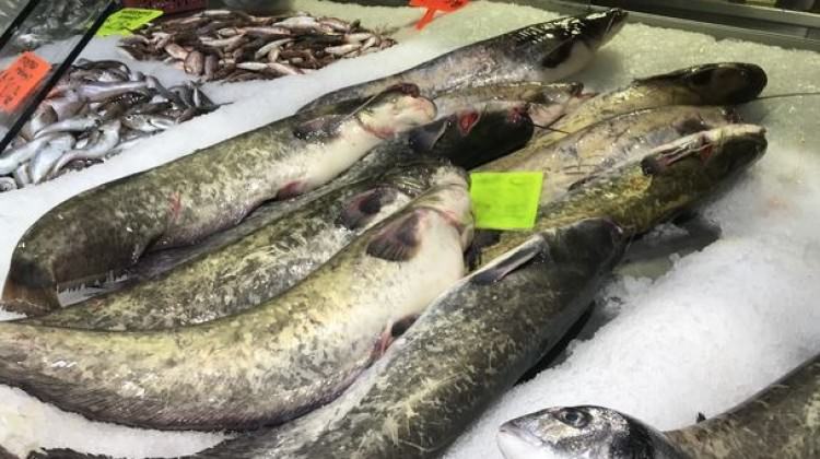 Tezgahlara geldi, ücreti 25 TL!