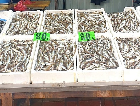 Tezgahlarda balık bolluğu! Kilosu 80 TL