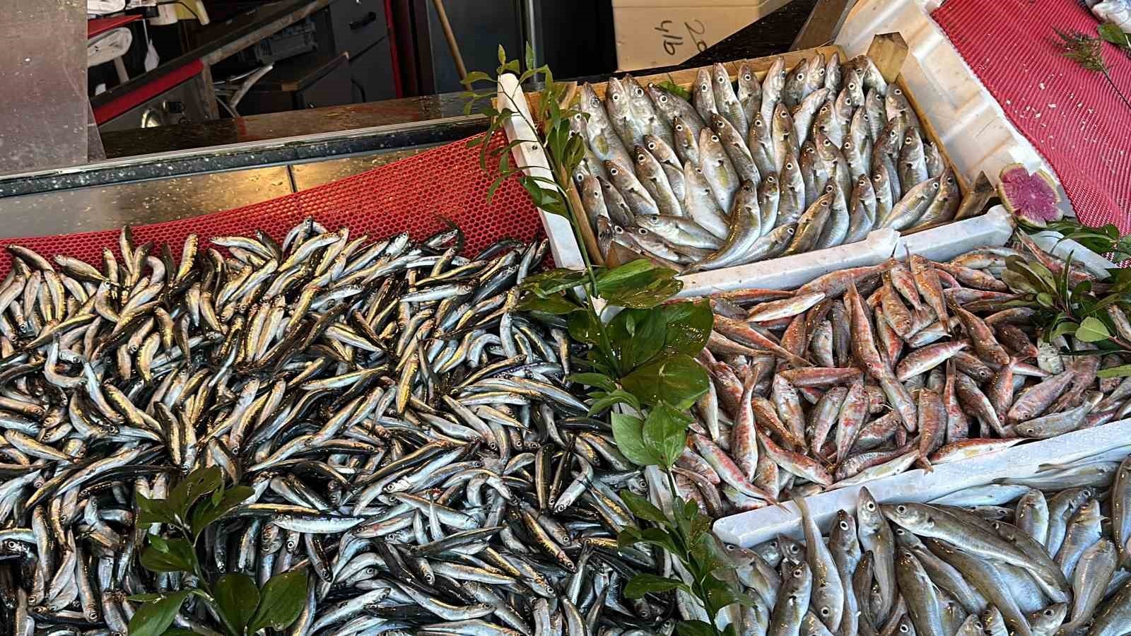 Tezgahlarda hamsi bereketi