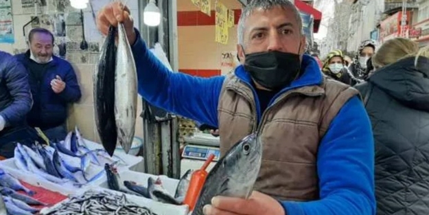 Tezgahlarda 'palamut' sürprizi