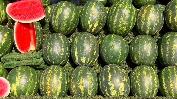 Fiyatı cep yaktı! Dilimle satılıyor