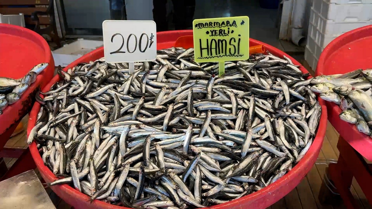 Tezgahların yıldızı çinekop ve hamsi oldu