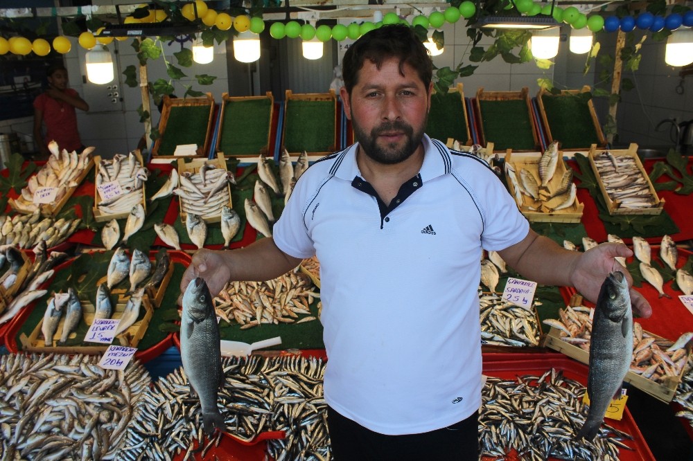 Tezgahta balık bollaşınca fiyatlar düştü 