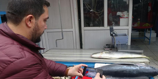 Tezgahtaki balığı gören dönüp bir daha baktı!