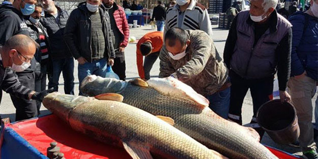 Tezgahtakileri görenler sosyal mesafeyi unuttu!