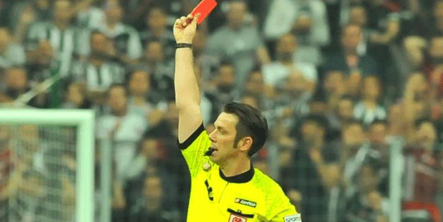 TFF'den orman projesi! Her sarı ve kırmızı kart için...