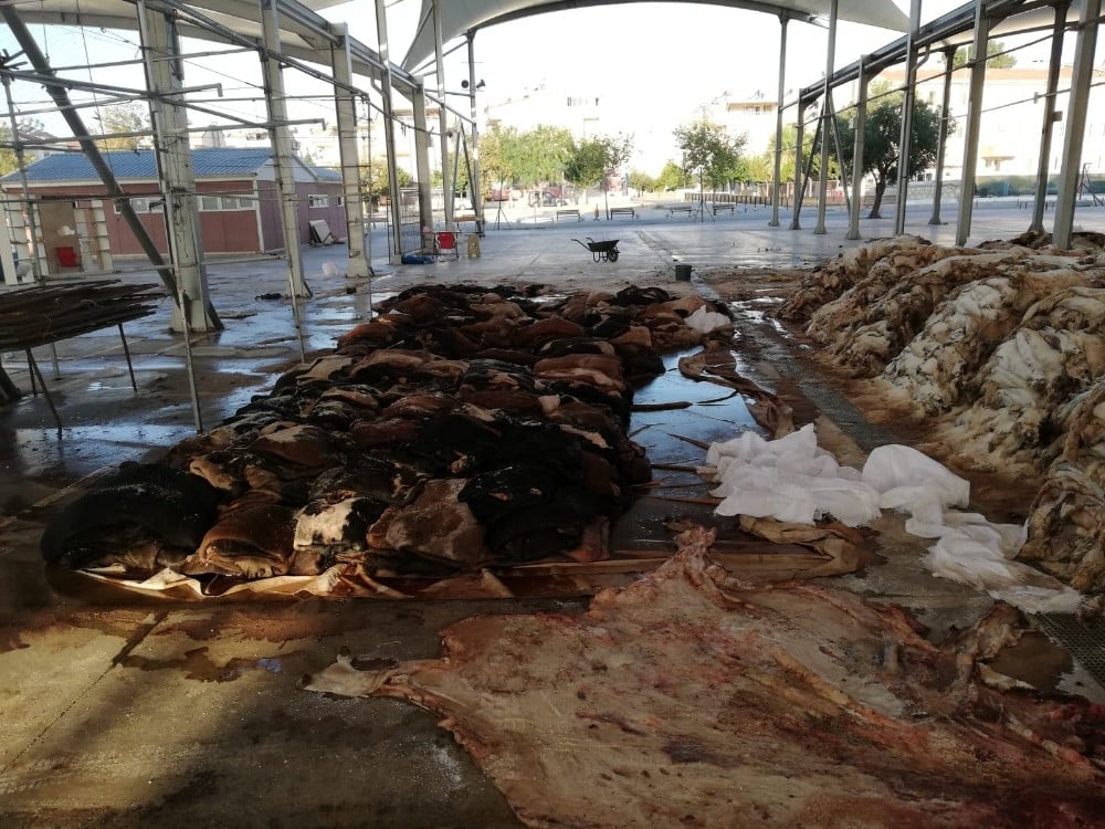 THK, Didim’de 3 bin 223 deri topladı 