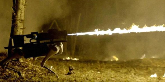 Throwflame Thermonator Robodog'un fiyatı ortaya çıktı