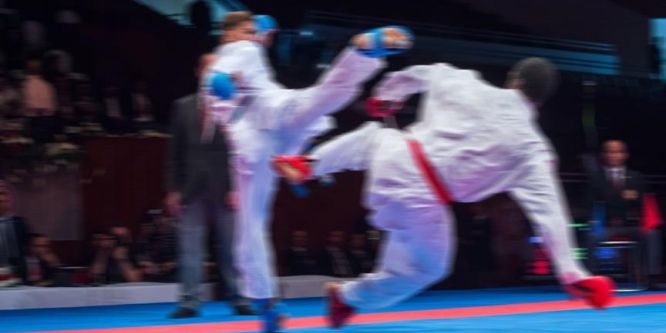 Karatede 2020 Tokyo'nun planlaması başladı