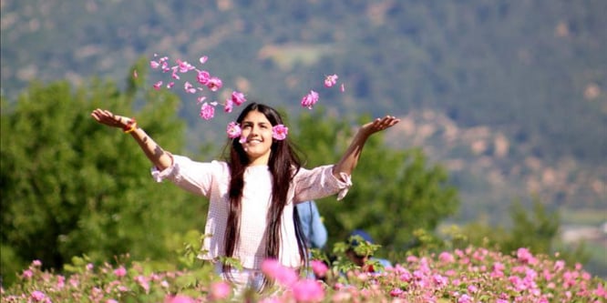 Bastona gizlenen fidandan dünyanın gül bahçesine uzanan serüven