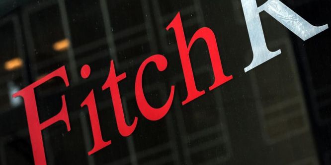 Fitch'ten halk oylaması açıklaması