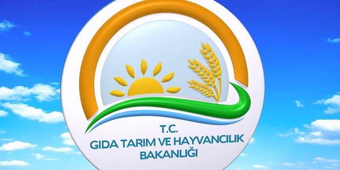 Tarımda Türkiye ile Afrika ülkelerinin iş birliği artacak