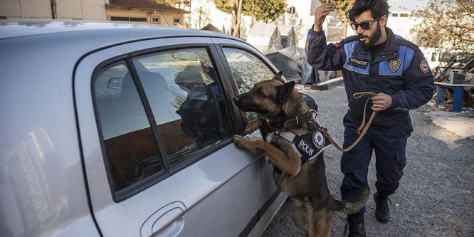 Alex zehir tacirlerinin korkulu rüyası oldu