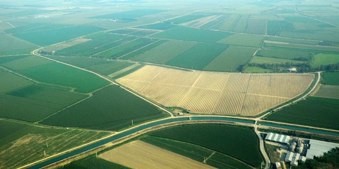 Tarım arazilerinin 5'te biri toplulaştırıldı