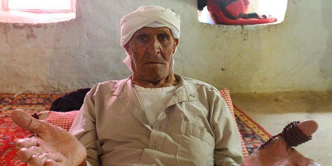 PYD mağduru asırlık çınarın son arzusu