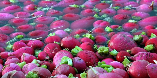 Turp, tüketiciye böyle ulaşıyor