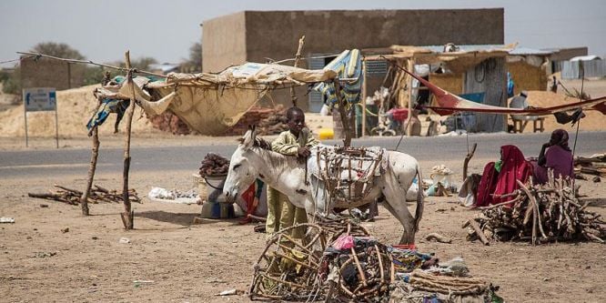 ''Dünyadaki fakirlerin yarısı Afrika'da''