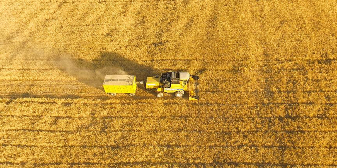 Türkiye ile Katar tarımda iş birliği yapacak