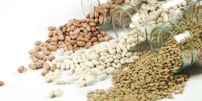 Güneydoğu'dan 721 milyon dolarlık ihracat