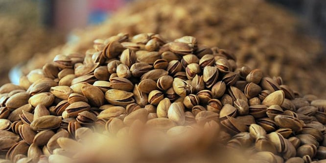 Antep fıstığına ihracat dopingi