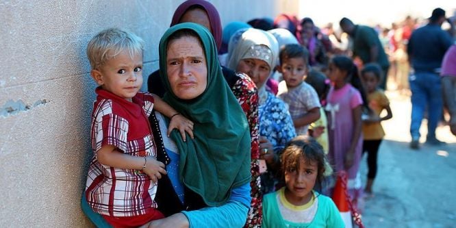Musullu göçmenlere yardım çağrısı