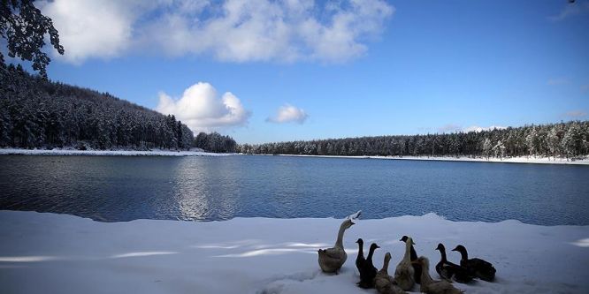 Topuk Yaylası 'tabiat parkı' ilan edildi