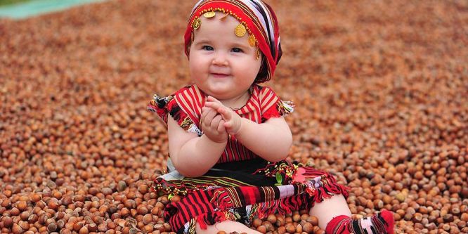 Türkiye 8 ayda 173 bin ton fındık ihraç etti