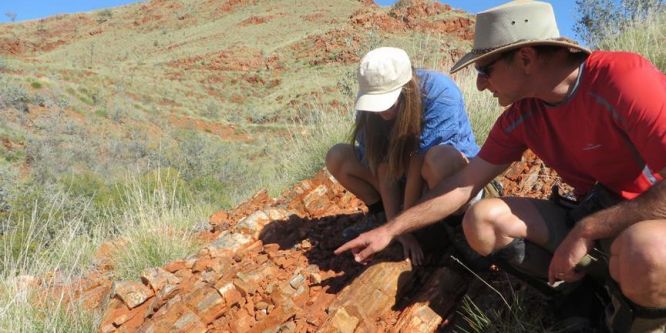 Avustralya'da 3,5 milyar yıllık mikrobiyolojik yaşam izleri keşfedildi