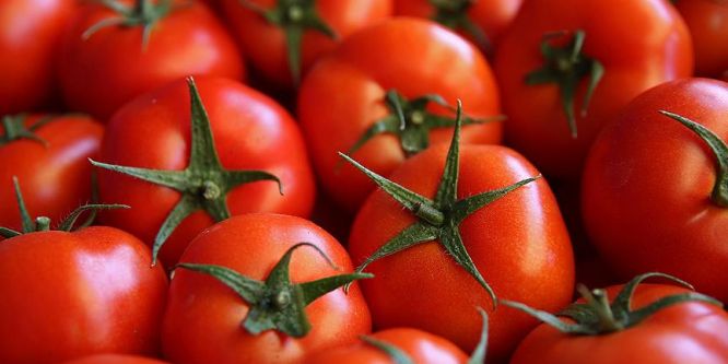Domateste umutlar 22 Mayıs'a kaldı