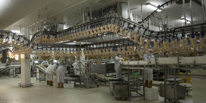 Beyaz et sektörü 2017'den umutlu